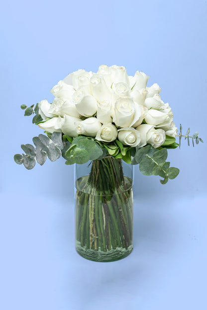 Love and Peace / White Rose