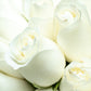 Amor y Paz // Rosa Blanca