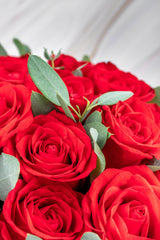 Catarina - Red Roses Box