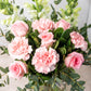 Campo Rosa / Rosa Clarita y Clavel Rosa