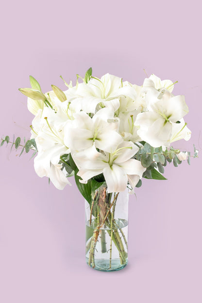 White House // White Lilium