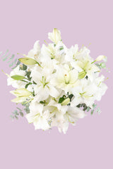 White House - Lilium Blanca GDL