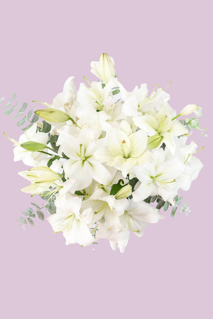 White House // White Lilium
