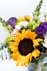 Emocionante - Girasol, Clavel Rosa y Blanco, Hortensia CDMX Sur
