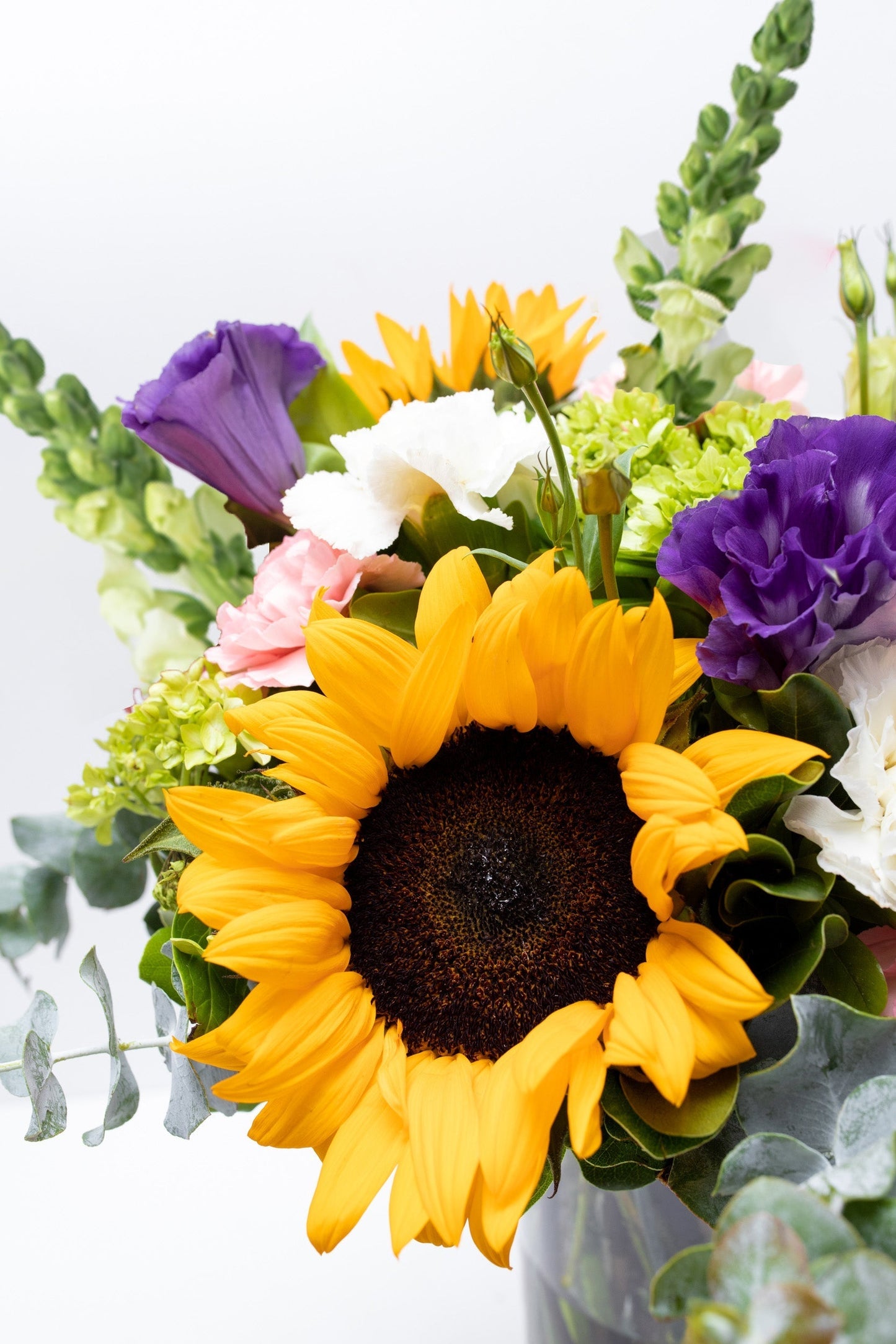 Emocionante // Girasol, Clavel Rosa y Blanco, Hortensia