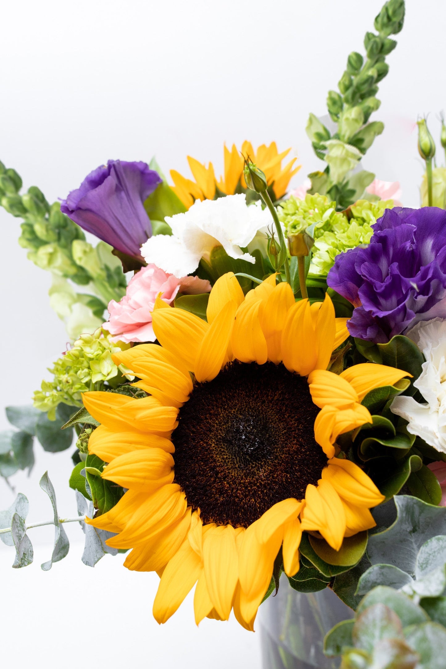 Emocionante / Girasol, Clavel Rosa y Blanco, Hortensia