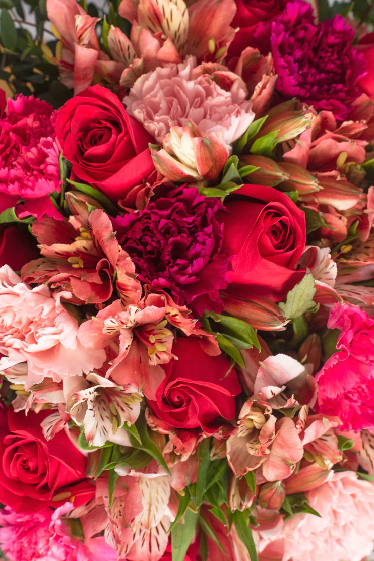 Enamorados / Rosa Roja, Clavel Rosa y Astromelia