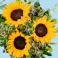 Sonrisa de Sol - Girasoles GDL