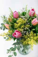 Friendship - Tulips