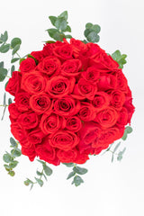 Life in Pink // Red Roses