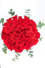 Life in Pink / Red Roses