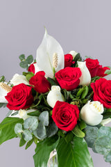 Tropical Air / Red and White Rose with Moses Cradle