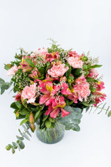 Summer Night // Carnation and Alstroemeria