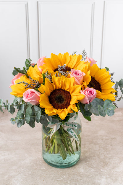 Arizona // Sunflower with Rosa Clarita