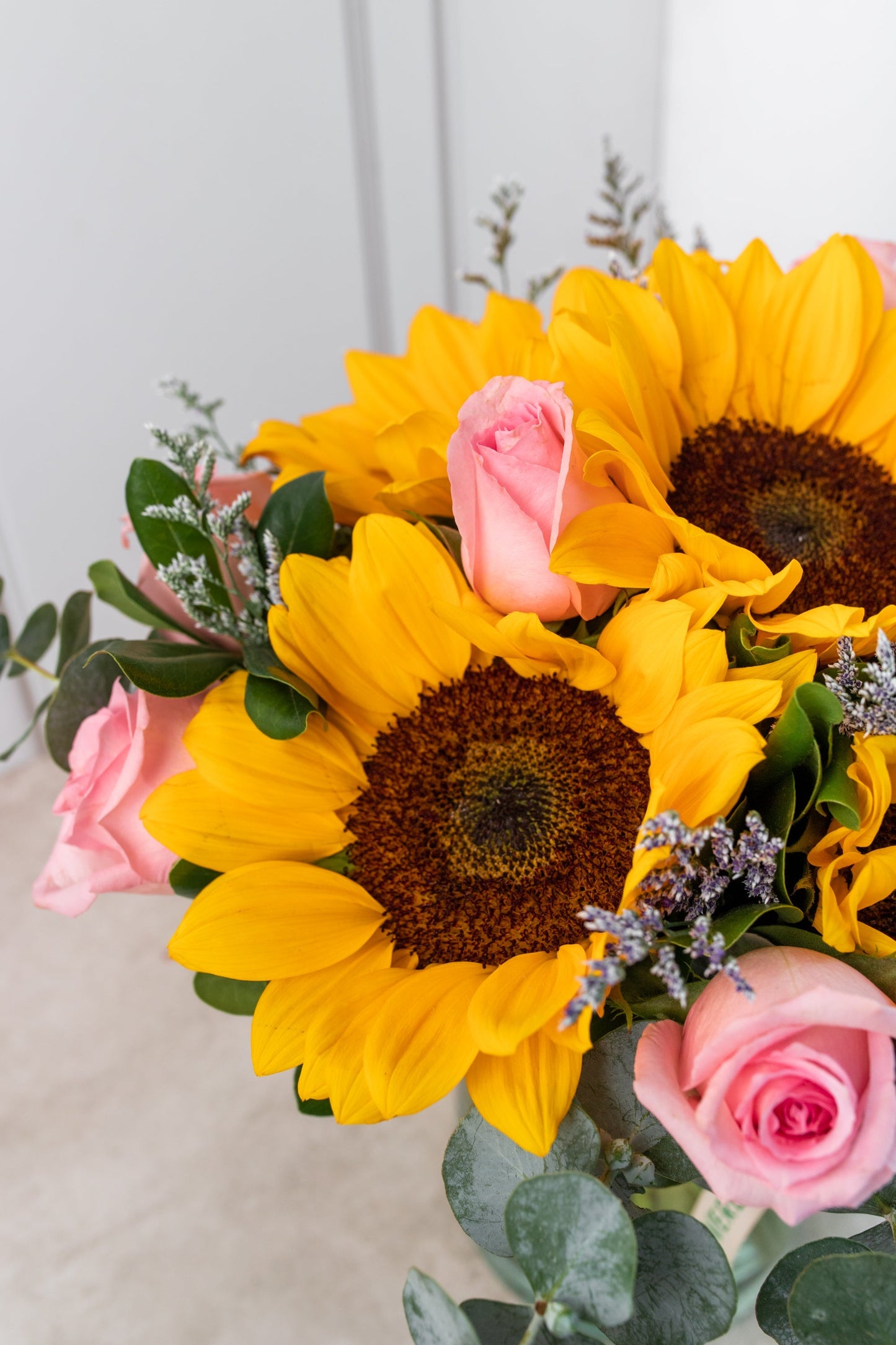 Arizona / Girasol con Rosa Clarita