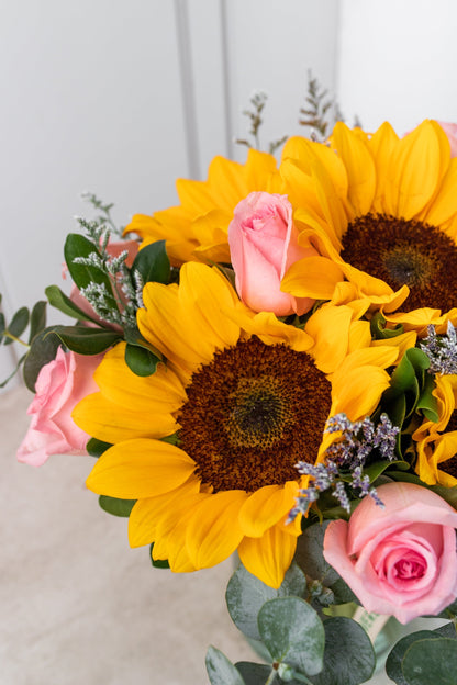 Arizona // Sunflower with Rosa Clarita
