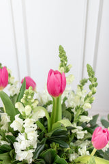 Airs of Holland - Tulip and White Dog