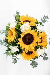 Cuando Calienta el Sol // Girasol y Clavel Blanco SNL