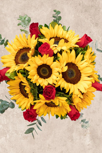 Ocaso // Girasol y Rosa Roja