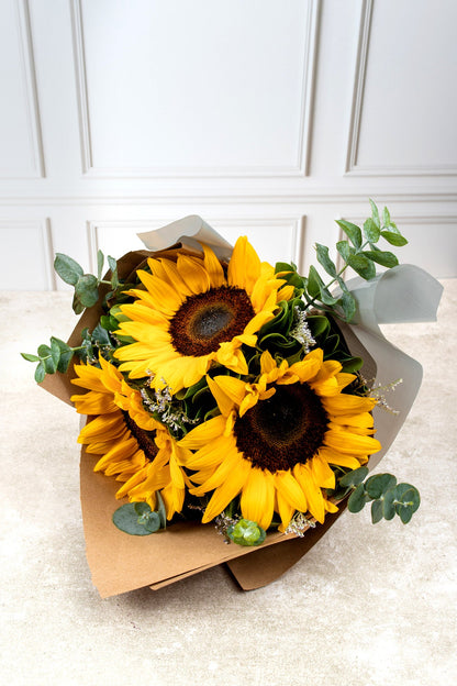 Solecito - Girasoles DGO