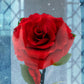 Rosa de la Bella y la Bestia - Rosa en Cristal