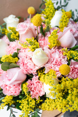 Creativo - Clavel Rosa y Rosa Blanca CDMX Sur