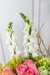 Bright / Light Pink and Hydrangea