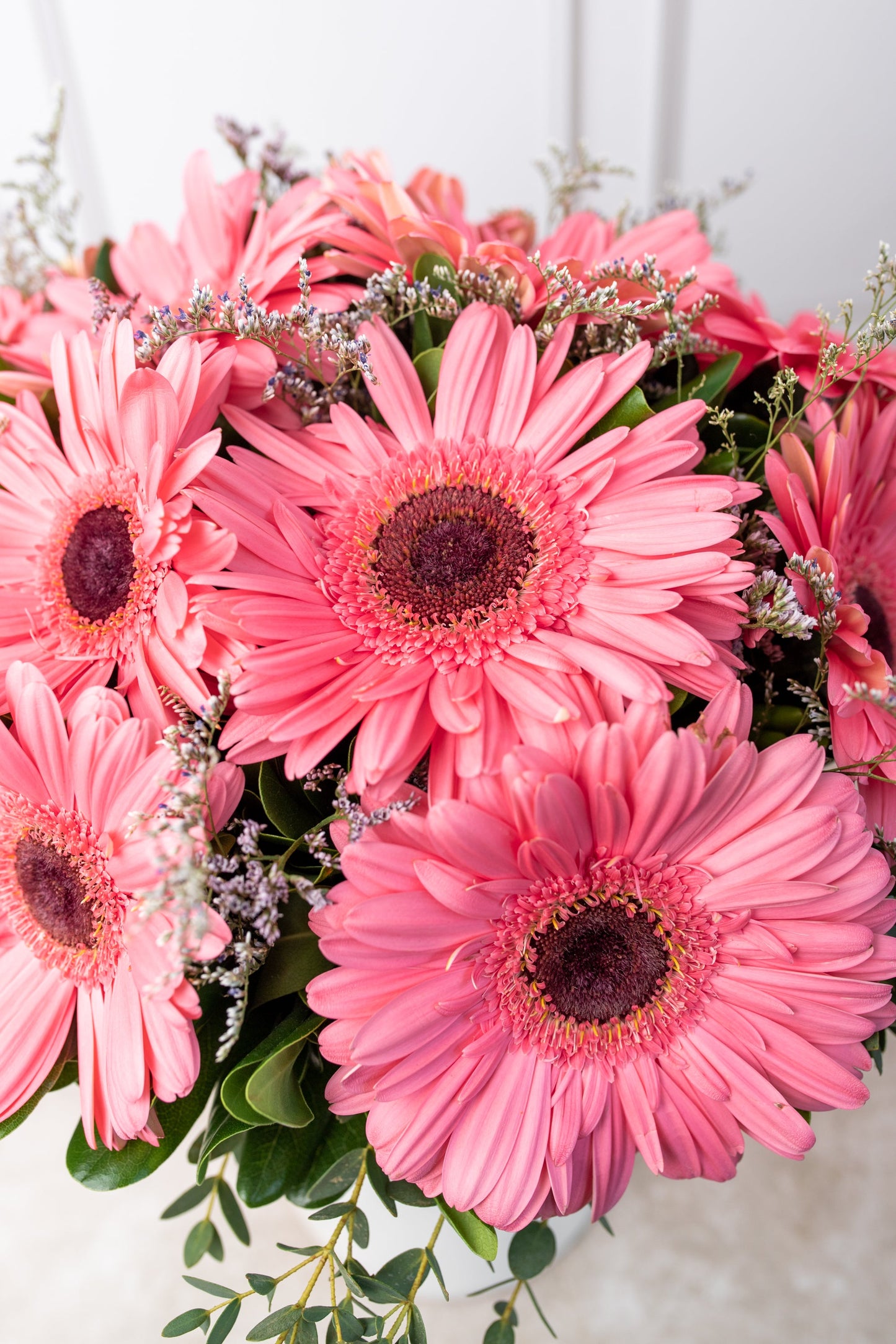 Dulce Primavera - Gerbera Rosa GDL