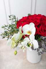 Like the Flower - Red Rose and Orchid