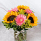 Por Siempre // Girasoles y Gerbera Rosa SNL