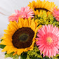 Por Siempre // Girasoles y Gerbera Rosa SNL