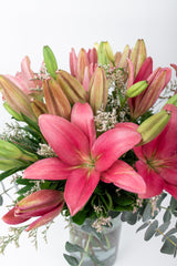 The Breezes / Pink Lilium