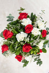 Small but Spicy // Red Rose and Carnation