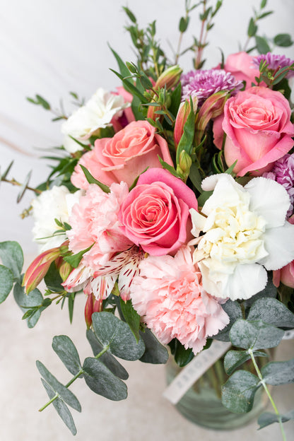 Fire - Light Pink, Pink and White Carnation