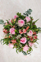 Cupid / Rosa Clarita and Astromelia
