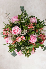Cupid / Rosa Clarita and Astromelia
