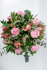 Cupid / Rosa Clarita and Astromelia