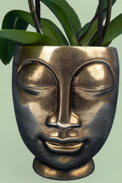 Remedios Varo with Face Pot - Orchid 