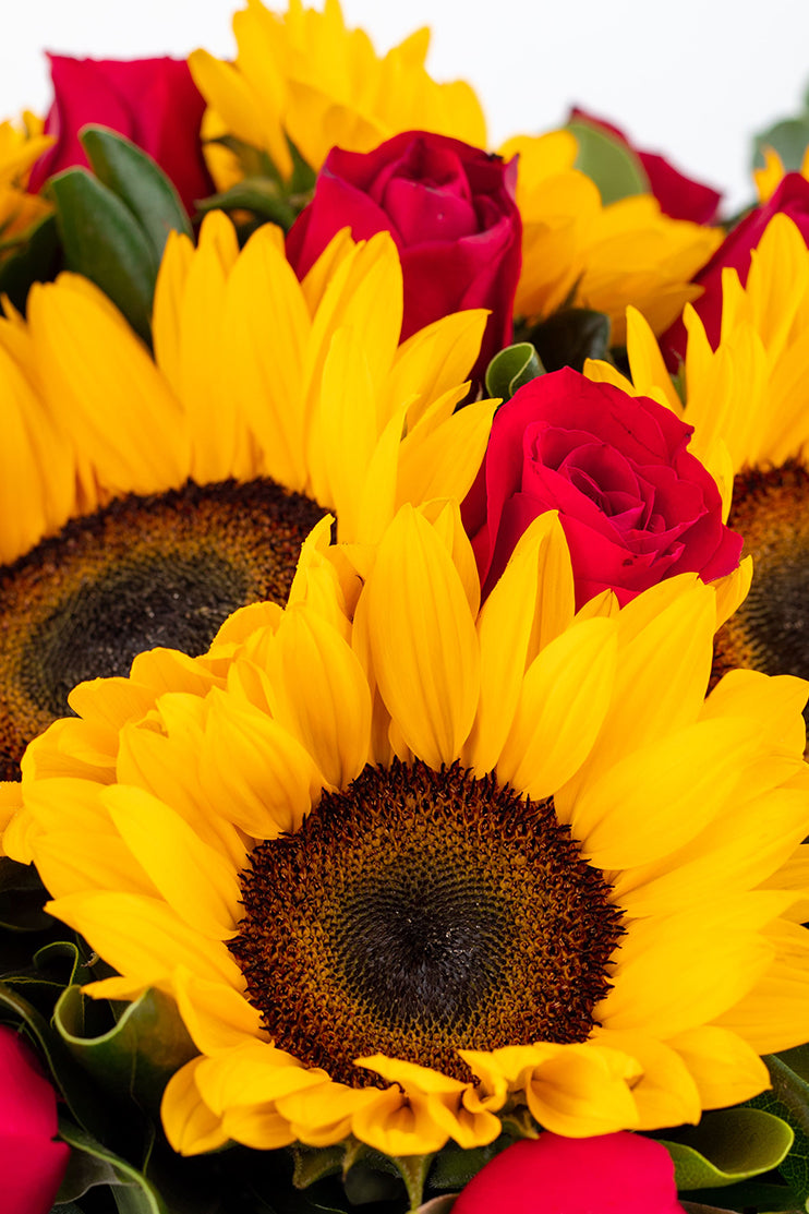 Ocaso - Girasol con Rosas Rojas CDMX