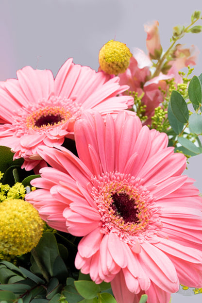 Optimist - Pink Gerbera, Yellow Craspedia