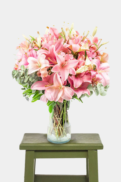 Pink Panther / Pink Lilium