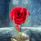 Rosa de la Bella y la Bestia - Rosa en Cristal