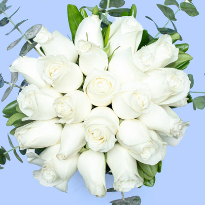 Love and Peace / White Rose