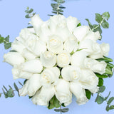 Love and Peace // White Rose