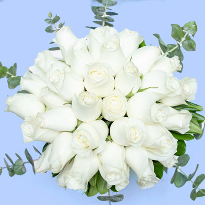 Love and Peace / White Rose