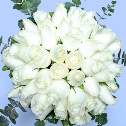 Love and Peace / White Rose
