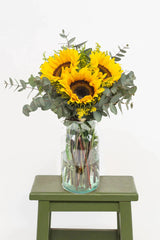 Tres motivos / Girasoles COACALCO