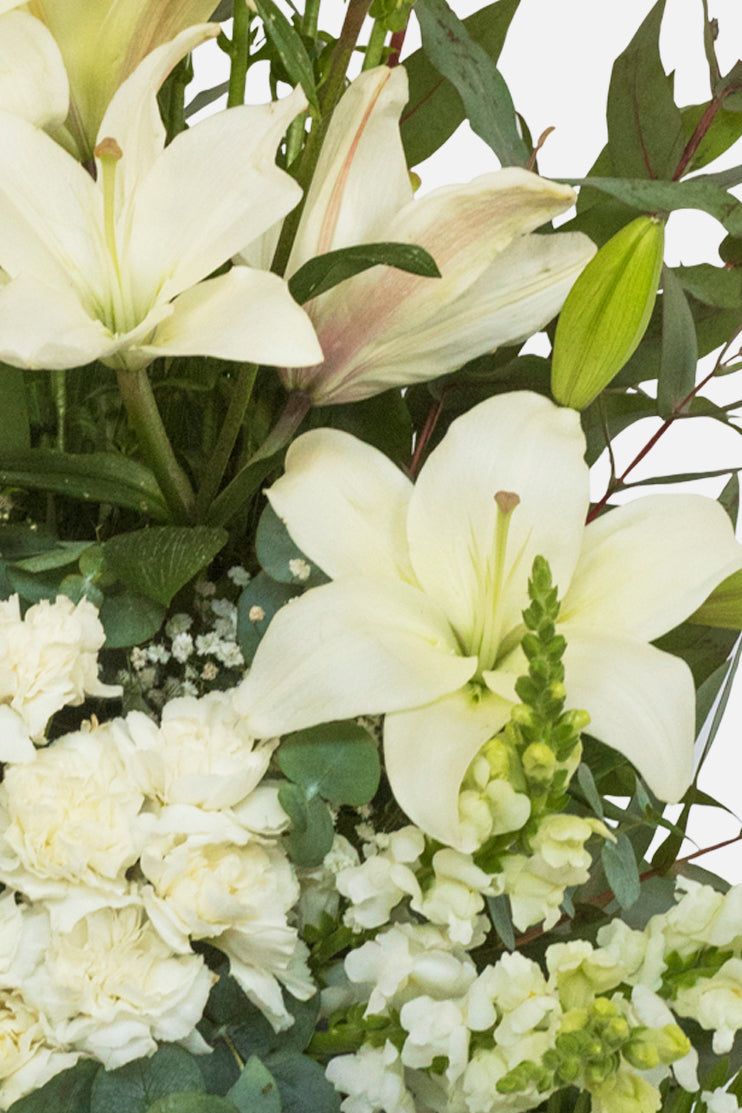 Consuelo / Lilium, Rosa y Clavel Blanco