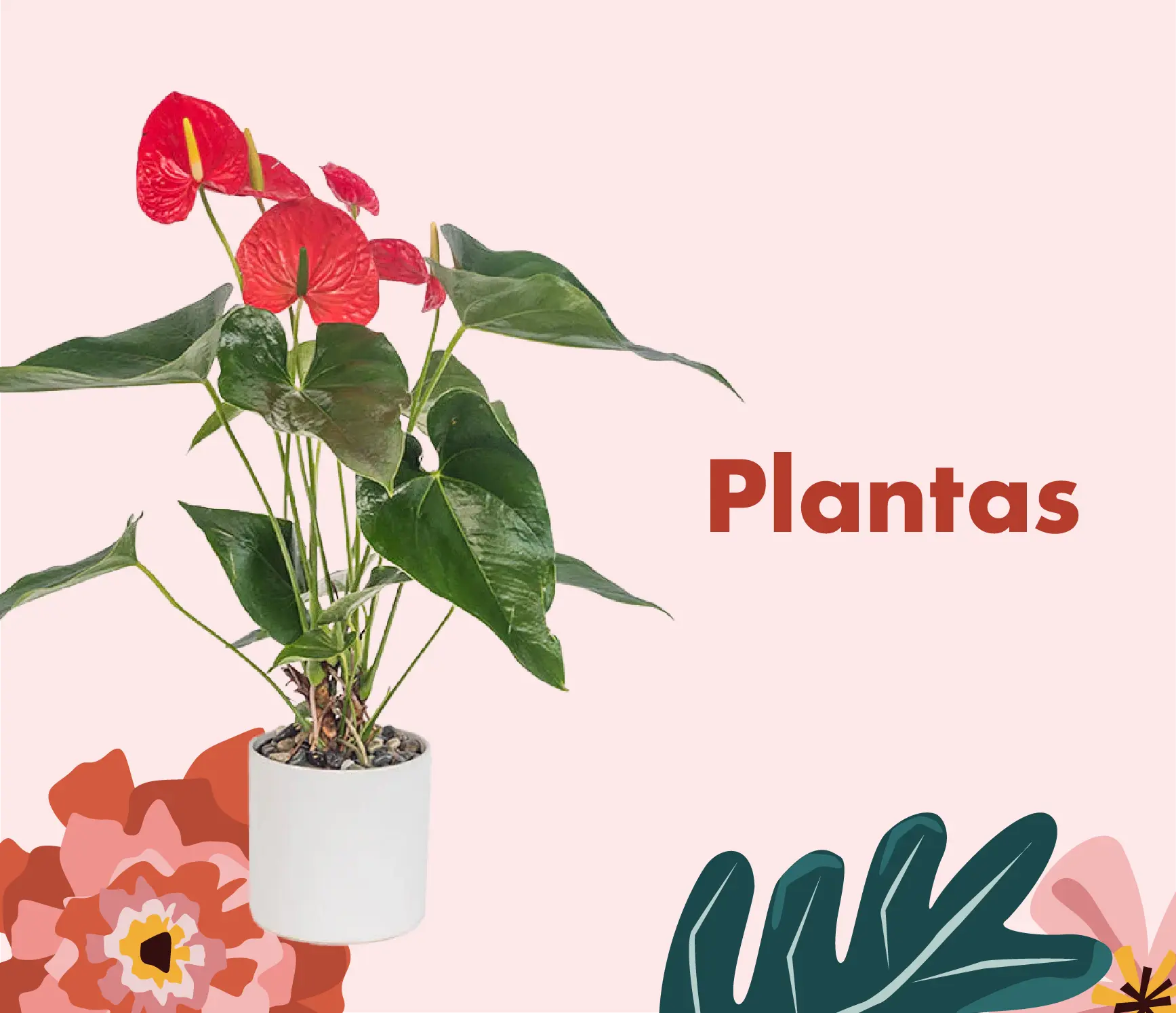 Plantas